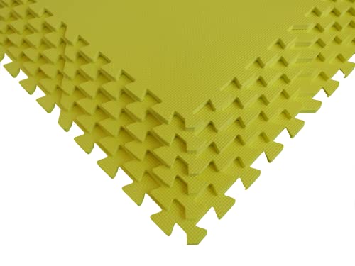 Square Brands Interlocking Foam Floor Tiles for MMA & Home Gym | Puzzle Foam Floor Mats | 3/8" Thick Exercise Mat