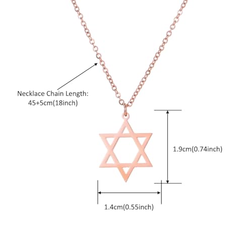Stainless Steel Jewish Jewelry - Star of David/Hamsa Hand/Menorah/Israel Map Pendant – Israel Necklace for Women & Men - Religious Gifts for Hanukkah, Bar Mitzvah include a Gift Box - color: Rose Gold-Star Of David Necklace