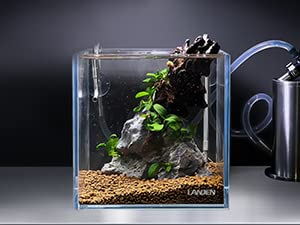 25C Rimless Low-Iron Cube Aquarium, 3.7 Gal, 9.8x9.8x9.8in | 25x25x25cm; shrimp, betta and nano; 5mm glass - size: 3.7Gal W9.84×D9.84×H9.84 in(25x25x25cm)