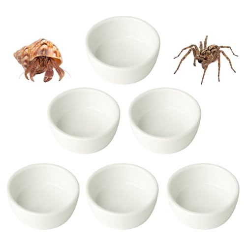 6 Pcs Spider Micro Ceramic Water Bowl, Mini Pet Dish for Spider (1.5 oz) - size: 1.5 oz