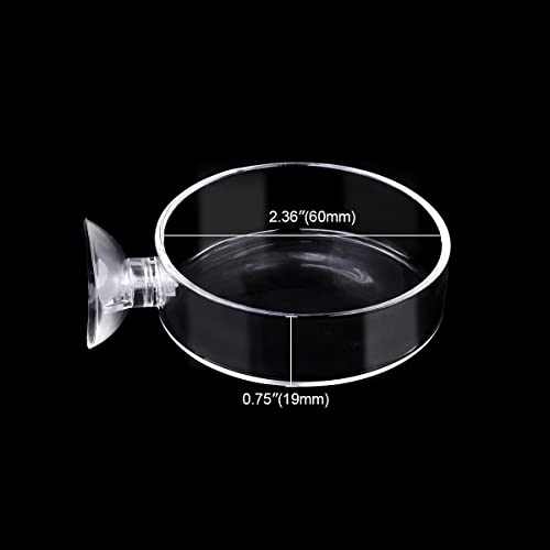 Aquarium Glass Feeder Shrimp Feeding Dish Round Clear Fish Tank Food Tray Container Prevent Food Spilling with Suction Cup, 60mm - size: 60mm