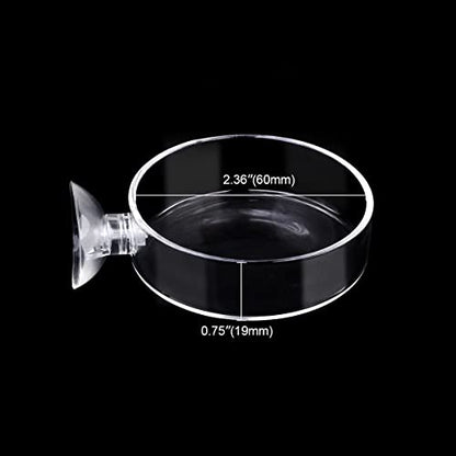 Aquarium Glass Feeder Shrimp Feeding Dish Round Clear Fish Tank Food Tray Container Prevent Food Spilling with Suction Cup, 60mm - size: 60mm
