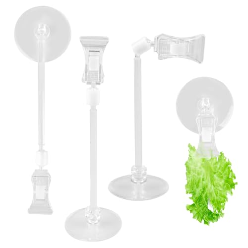 6 Pack Veggie Aquarium Seaweed Clips Fish Food Holder Wide Mouth Clips Plants Suction Cups Algae Clip for Freshwater and Marine Fish Tank (Small Clip) - size: Small