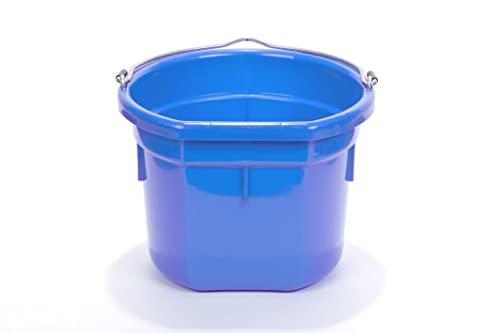 Little Giant® Flat Back Plastic Animal Feed Bucket | Animal Feed Bucket with Metal Handle | Horse Stall Feeding and Watering Supplies (Blue, 8 Quart) - color: Blue, size: 8 Quart