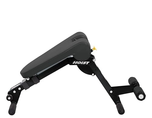 Dual Adjustable Decline Ab & Back Workout Bench w/ 11 Positions and Fast, Space-Saving Folding Design.