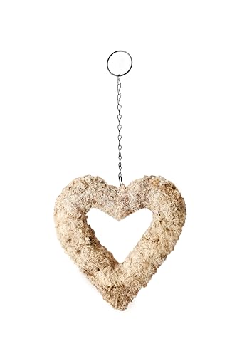 SuperMoss (22360) Living Wreath for Indoor and Outdoor Decor – Soil-Free Sphagnum Moss Wreath for Succulents, Plants, and Flowers – DIY Garden Craft for Front Door or Wall, 9”, Heart - size: 9"