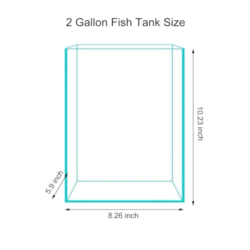 Vimvins 2 Gallon Glass Fish Tank, Easy to Maintain Small Aquarium for Betta/Snails/Shrimp and Aquatic Planting. - size: 2 Gallon