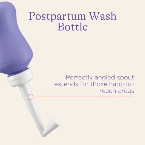 Lansinoh Upside Down Peri Bottle for Postpartum Care and Gentle Cleansing, 12.2 Ounce Bottle : Health & Household