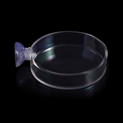 Shrimp Food Box, Round/Square Practical Fish Feeding Bowl, Acrylic Transparent Aquarium Accessories Fish Feeding Dish Shrimp Food Feeding Circle(C) - style: C