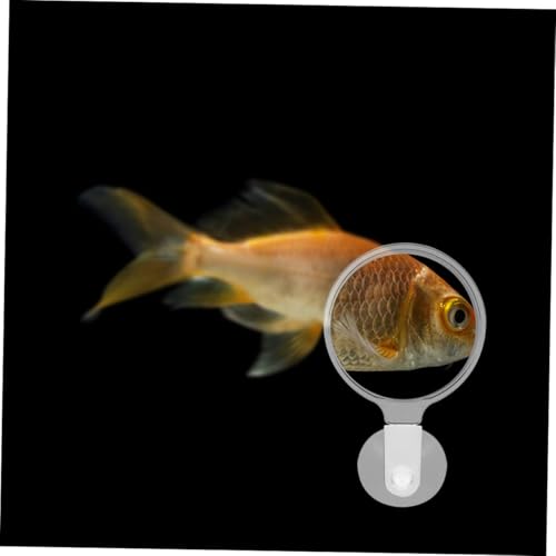 4pcs Acrylic Lens Cup for Fish Tank Observation for Betta Fish -Landscapes and Creatures