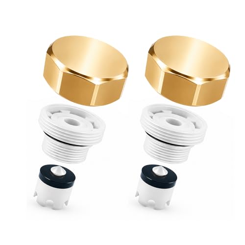 Gold Metal ASSE 1019-A Vacuum Breaker Check Valve Repair Kit, Anti-Siphon Replacement Parts, Corrosion Resistant, Solid Brass Top Cover, Plastic Body, Plunger & O-Ring, 2 Pack - color: yellow metal