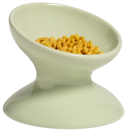 Raised Cat Food Bowl, Tilted Bowl for Cats, Dogs, 12 oz, Seafoam - color: Seafoam