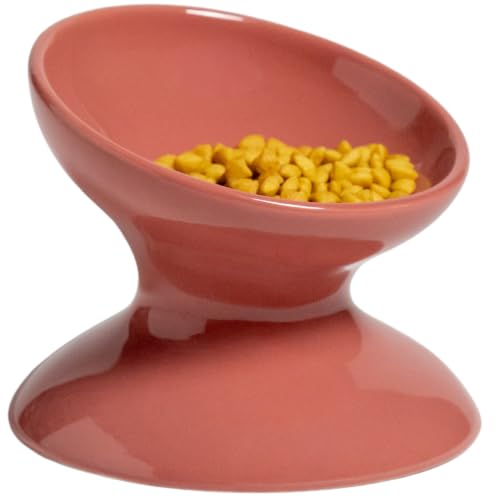 Raised Ceramic Cat Food Bowl, Tilted Bowl for Cats, Dogs, 12 oz, Plum - color: Plum