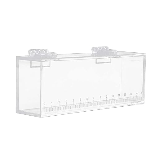 Acrylic for Fishing Photo Tank, L - size: Large
