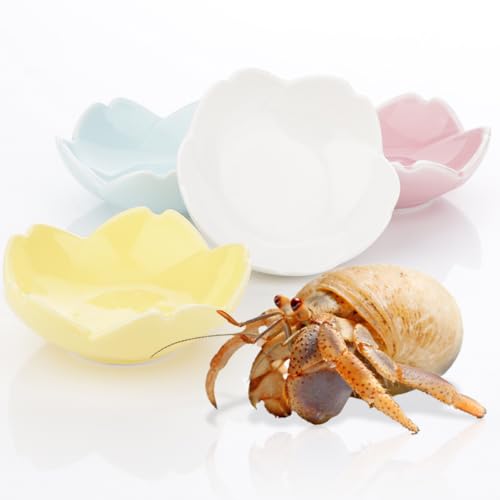 4 Pack Ceramic Food & Water Bowls Dual Dish Reptile Feeding Set for Hermits Crabs, Lizards, Geckos, Small Snakes and Snails