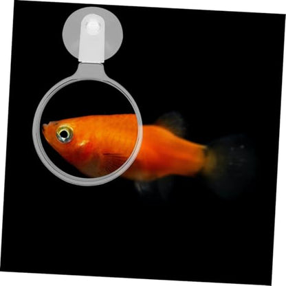 Ipetboom 4pcs Acrylic Fish Tank Viewer Lens Cup High Definition Magnifier for Animals Plants and -Landscapes