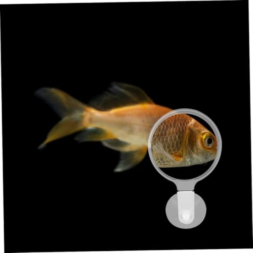 Baluue 4pcs Acrylic Lens with Cup for Fish Tank Observation for -Landscape Ants Spiders and Plants and Easy to Use
