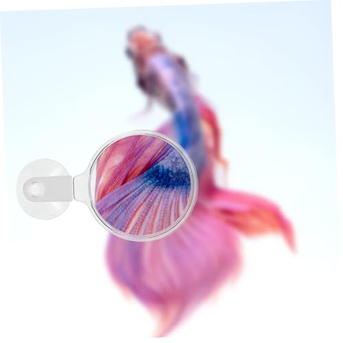 Abaodam Acrylic Glass with Cup for Aquarium Observation High Viewing Tool for Small Animals Plants and Landscapes