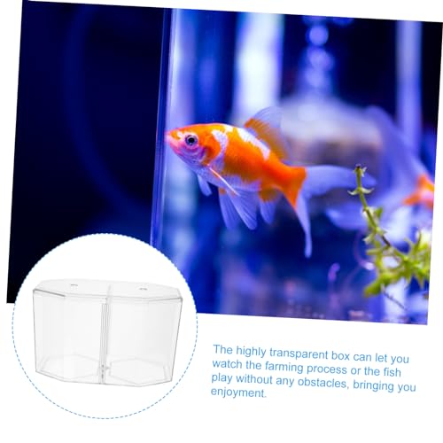 GALPADA Fish Breeding Tank with Divider Isolation Box for Betta Guppy Shrimp and Clownfish Easy to Clean and Store Design for Spawning and Nursing