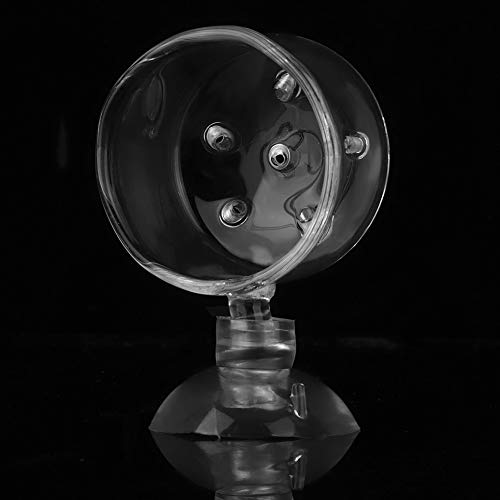 Shrimp Feeding Dish, Transparent Aquarium Feeding Dish with Strong Suction, No Mess Aquarium Glass Feeder for Feeding Shrimp, Fish and Reptiles in Tank, Glass Hole Cup