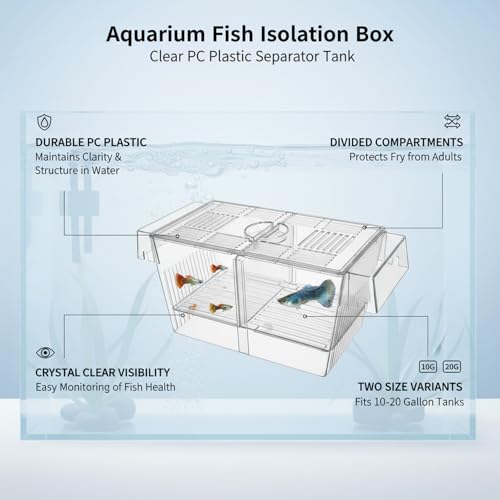 Aquarium Fish Isolation Box, Clear PC Plastic Separator Tank with Divided Compartments (1 PC)
