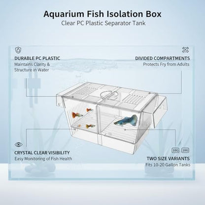 Aquarium Fish Isolation Box, Clear PC Plastic Separator Tank with Divided Compartments (1 PC)