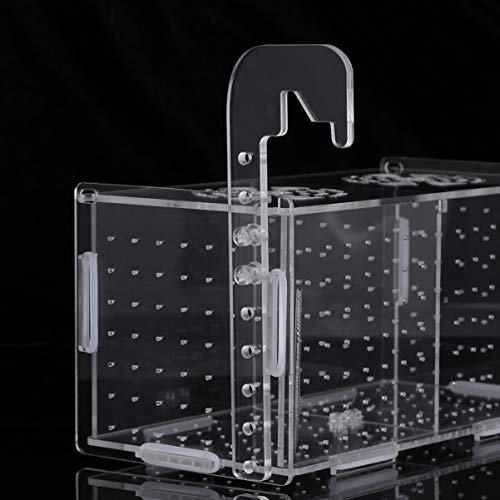 Aquarium Fish Breeding Box - Transparent Acrylic Fish Tank Hatchery Hanging Incubator for Shrimp Clownfish (Hook 201011cm)