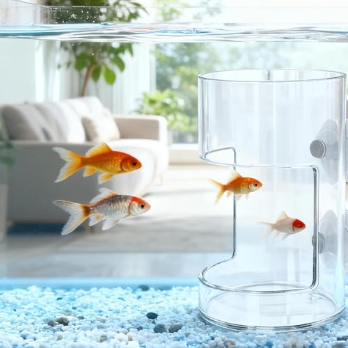 Aquarium Feeding Tray with Suction Cups, with a Cute Moon Animal PVC Gift | Cute Moon Animal Design,Fish feeder