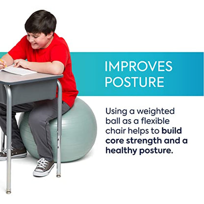 Bouncyband Balance Ball – Create Flexible Seating to Improve Focus at School, Office, or Home with This No-Roll Weighted Ball - color: Silver, size: Medium (Pack of 1)
