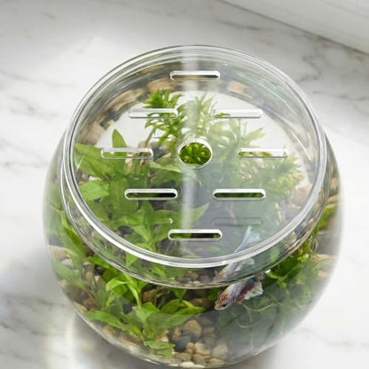 Round Clear Tank Lid - Round Acrylic Aquarium Lid - 5.12" Tank Protective Cover - Replacement Accessories for Fish Bowl Terrarium - size: 13.00X13.00X0.30CM