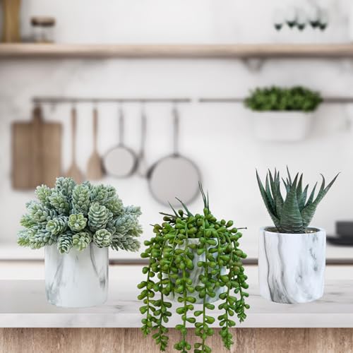 Winlyn Set of 3 Small Artificial Succulent Potted Plants Fake Aloe Hops String of Pearls in Modern Marble Ceramic Planter for Home Garden Bathroom Shelf Office Desk Tabletop Indoor Outdoor Décor