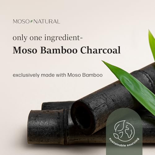 Moso Natural Shoe Deodorizer Inserts, Charcoal Odor Absorber for Shoes, Gym Bag & Boot Deodorizer, Unscented Shoe Odor Elimination, Air Purifying Bags, Lasts 2 Years (2 Bags) - style: 1 Pack (2 Total) Charcoal