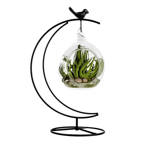 YY YEARCHY Ornament Display Stand Metal Stand Terrarium Air Plant Stand Flower Pot Holder Iron Pothook Stand for Hanging Glass Globe Ball - color: Black, size: 10"x7"x4.8"