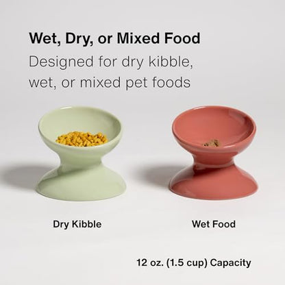 Raised Ceramic Cat Food Bowl, Tilted Bowl for Cats, Dogs, 12 oz, Plum - color: Plum