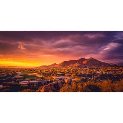 AWERT 36x20 inches Sun and Desert Terrarium Background Mountain Oasis Gobi Reptile Habitat Background Vinyl - size: 36x20in/90x50cm