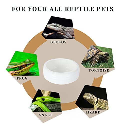Reptile Food Bowls Ceramic Round Reptile Water Food Dish, Pet Food Bowl for Lizards, Small Snakes, Young Bearded Dragons, Gecko Tortoise Spider (White, Medium-1Pack)
