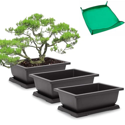 GROWNEER Bonsai Pots 3 Packs 11 Inch Bonsai Tree Training Pot with Humidity Drainage Trays & Repotting Mat Rectangle Planter Plants Starter Kit Growing for Garden Yard Office Indoor Outdoor - size: 3pcs/11.4x8.5in