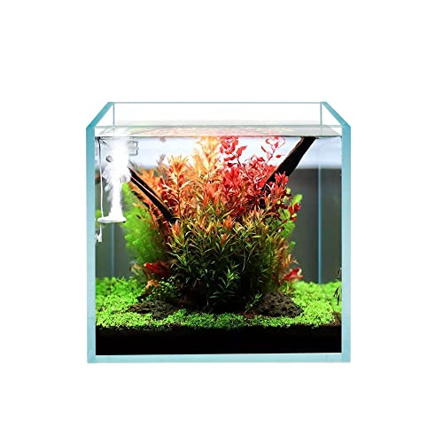 Cube Rimless Frameless Extra Clear All Glass Aquarium, Low Iron Glass Tank, 5mm Glass, White Leveling Mat Included, w/Lids Options - size: 2 GAL 7.8x7.8x7.8 in