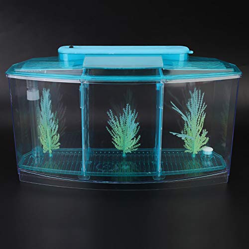 Acrylic Fish,Bowl, Aquarium Fish LED Acrylic Three Divisions Breeding Isolation Box for Small Fishes (Blue)