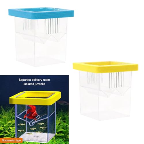 Baby Fish Breeding Box Clear Isolation Aquarium Hatchery Incubator with Suction Cups for Newborns Shrimp Fish Hatchery - color: Blue