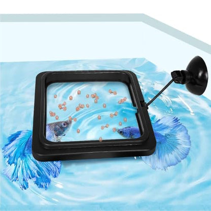 Fish Feeding Ring, Fish Safe Floating Food Feeder Circle Blue, with Suction Cup Aquarium, Square and Round Shape Fish Tank Towels - for Guppy, Betta, Goldfish, Etc (1 Square) - color: Black Square