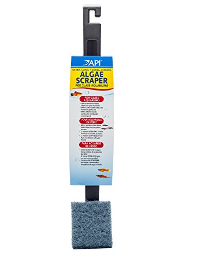 API ALGAE SCRAPER For Glass Aquariums 1-Count Container - color: Assorted, size: 1 Count (Pack of 1)