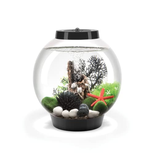 biOrb Classic 15 Acrylic 4-Gallon Aquarium with Multi-Color Remote-Controlled LED Lights Modern Compact Tank for Tabletop or Desktop Display, Black - color: Black, size: 4 Gallon, style: MCR Lighting