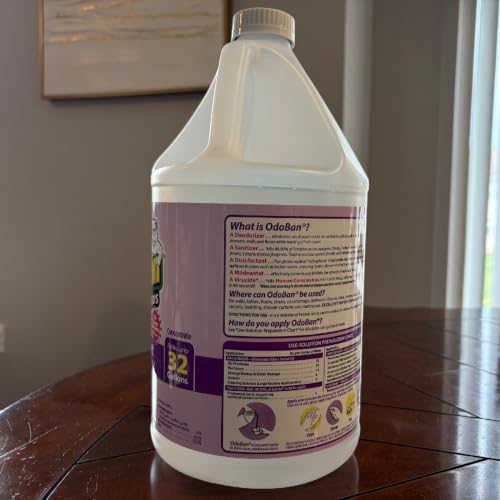 OdoBan Ready-to-Use Disinfectant and Harsh Aroma Eliminator, Set of 2, 14.6 Ounce 360-Degree Continuous Spray Fabric/Air Freshener and 1 Gallon Multi-Purpose Cleaning Concentrate, Lavender Scent - size: 71.3 Fl Oz (Pack of 2)