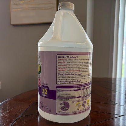 OdoBan Ready-to-Use Disinfectant and Harsh Aroma Eliminator, Set of 2, 14.6 Ounce 360-Degree Continuous Spray Fabric/Air Freshener and 1 Gallon Multi-Purpose Cleaning Concentrate, Lavender Scent - size: 71.3 Fl Oz (Pack of 2)