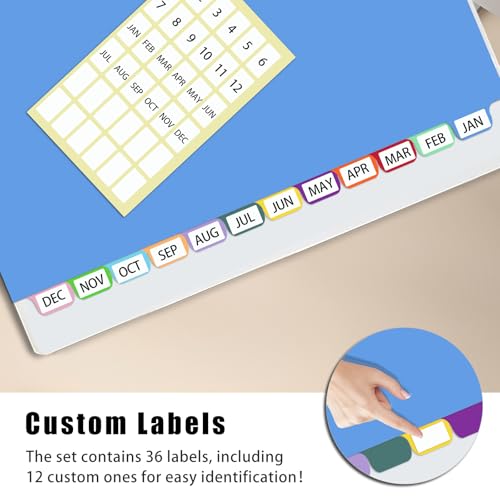 Binder Dividers with Tabs,Monthly Dividers for 3 Ring Binder,12 TABS,Customizable Table of Contents,Multicolor,1 Sets