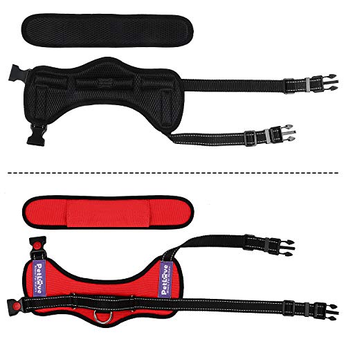 PetLove Dog Harness, Adjustable Soft Leash Padded No Pull Dog Harness for Small Medium Large Dogs, Red - color: Red, size: XXS