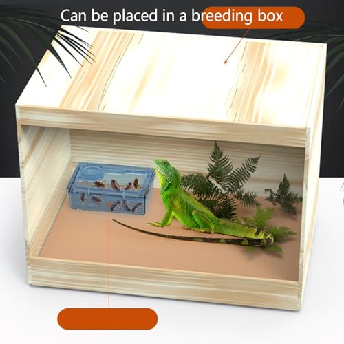 Anti-Escape Crested Gecko Food Dish, Transparent Chameleon Feeding Bowl, Acrylic Reptile Amphibian Habitat Feeders, Pet Supplies, for Tortoise Frog Snake Terrarium Lizard Spider - color: White