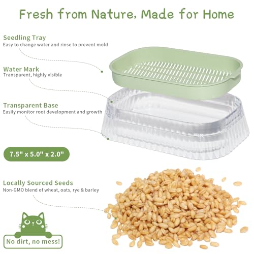 Cat Grass for Indoor Cats with 5 Pack Non GMO Wheat Seeds, Organic Grass Growing Kit, Soil-Free Planter, Perfect for Beginners, Cat Friendly Plants, Ideal Birthday Gift for Cat Lovers