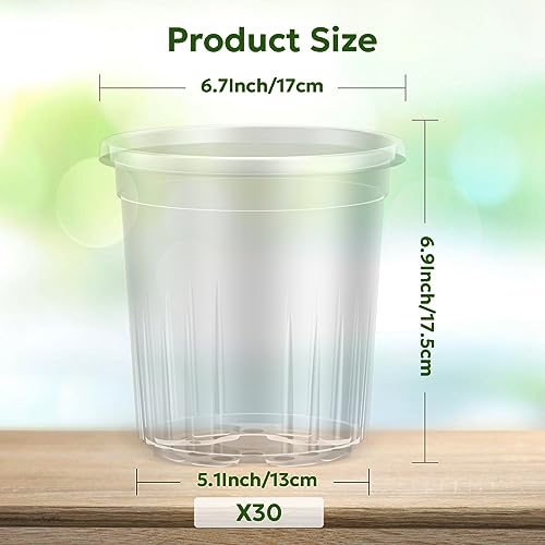 Bluepro Clear Nursery Pots with Drainage Holes, 7 Inch, 1 Gallon, 30-Pack | Clear PET, 1-Gallon Capacity, Root and Moisture Visibility, Flexible, Reusable, Indoor/Outdoor Use, Propagation and Repotting - size: 7 Inch-30Pcs